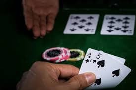 8855bet13